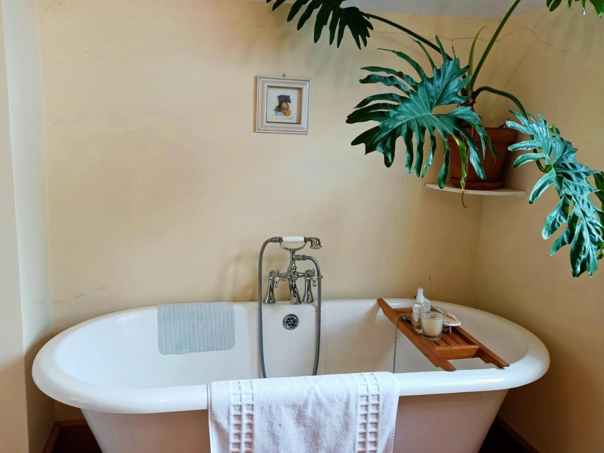 100 Year Old English Character House Hotel Timaru Ngoại thất bức ảnh